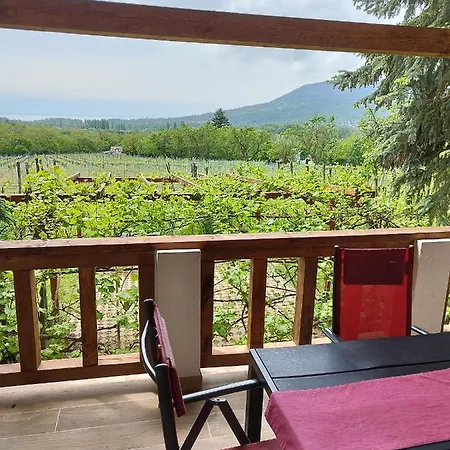 Ferienhaus Klara Vendeghaz Badacsonyörs