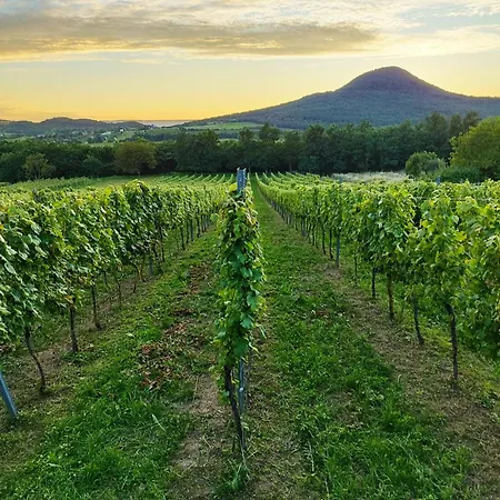 Nyaraló Klara Vendeghaz