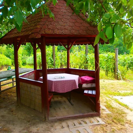 Ferienhaus Klara Vendeghaz Badacsonyörs