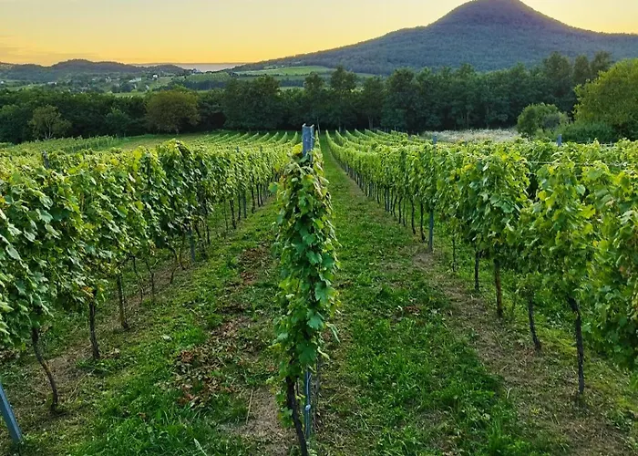 Vakantiehuis Klara Vendeghaz